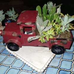  Beautiful Red Truck With Different Types Of Succulents 