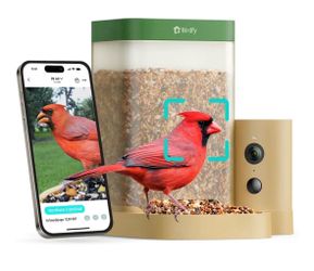 Smart Bird Feeder with Camera for Rookie, Camera Bird Feeder Dual Night Vision, Al Recognition IP66 Waterproof for BirdLovers