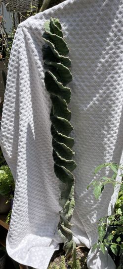 cactus spiral  5 pies alto 