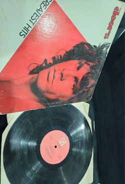 The doors Record