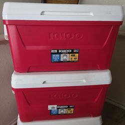 Igloo  48 Quart Cooler