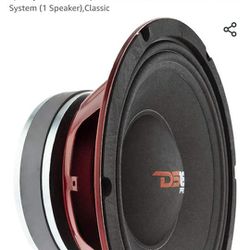 DS 18 10" Pro MB Speakers