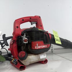 Craftsman Leaf Blower B2000 (WMP012520) 💨