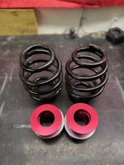 E46 Rear Springs