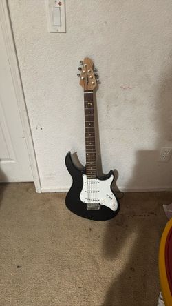Peavey raptor plus electric guitar