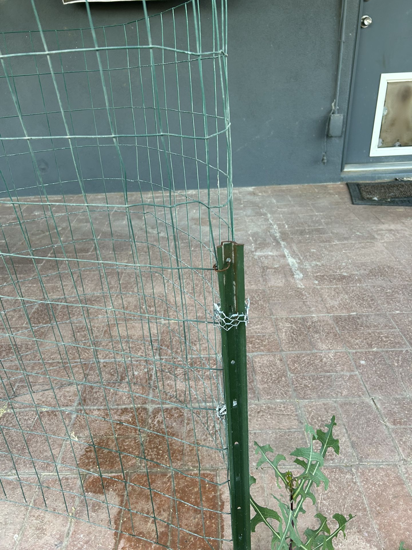 Wire Fencing