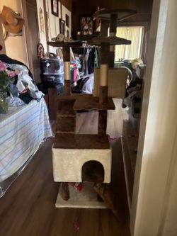 Cat tower