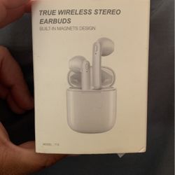 True Wireless Stereo Earbuds 