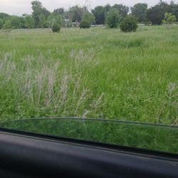 Se renta 4 acres de terreno Para vacas o caballos