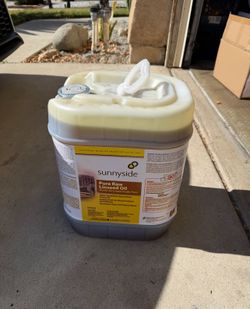 Sunnyside Corporation  Pure Raw Linseed Oil, 5Gallon