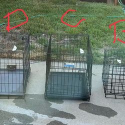 Pet Crates Two  Available