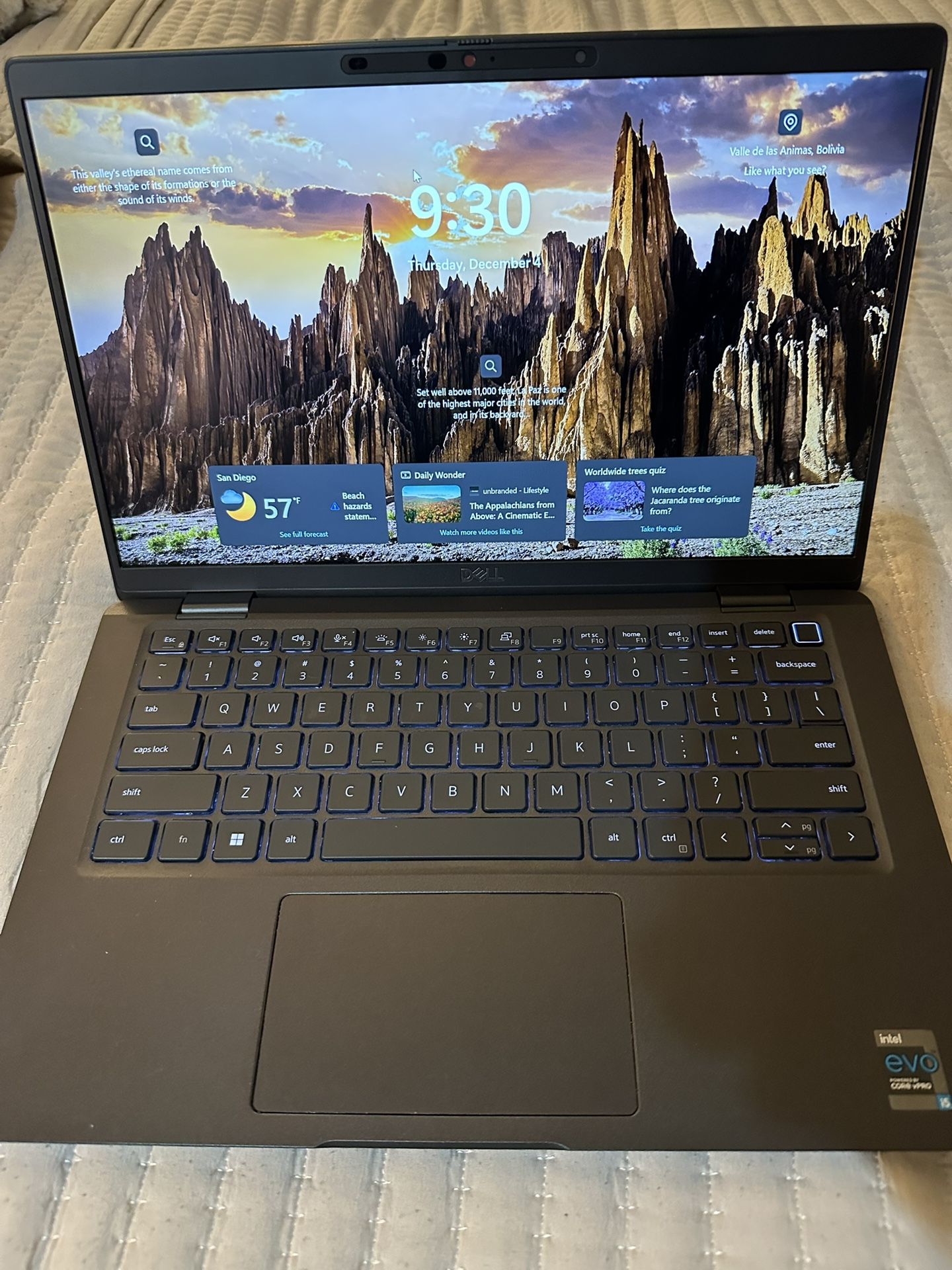 Dell Business Laptop