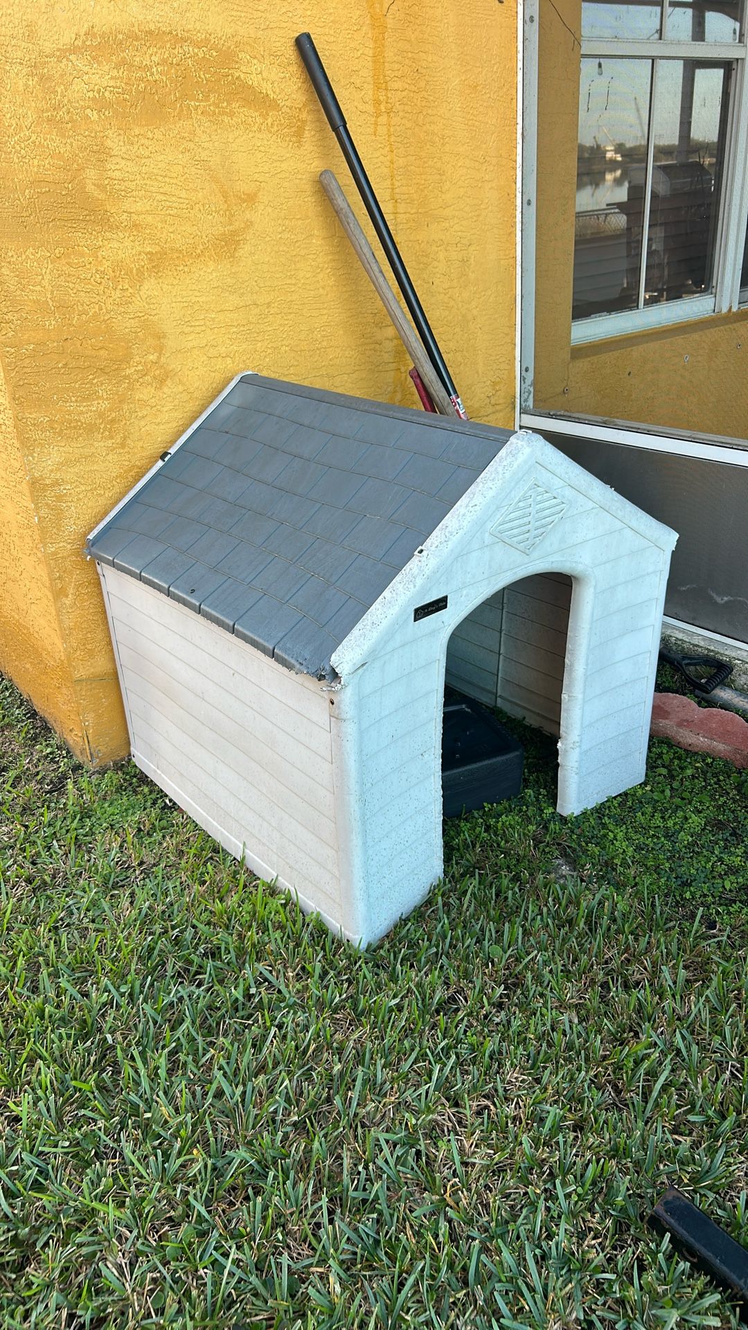Dog House 