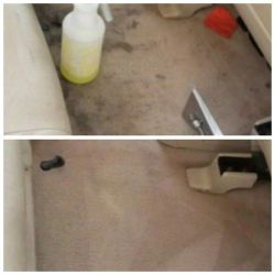 Car Carpet And Seats Steam Cleaning 