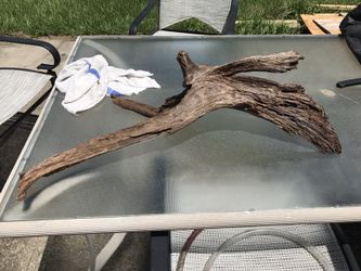 Malaysian driftwood for aquariums
