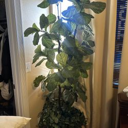 Fake Tall Plant 