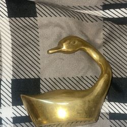 Golden brass, goose