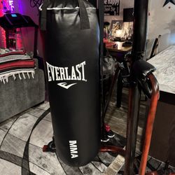 Ever last Punching Bag And Stand And Gloves 
