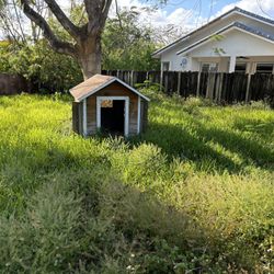 Large Dog House