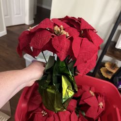 Fake Poinsettia 