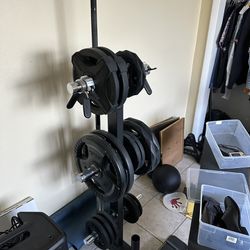 Olympic Bar With Weights Tree And Plates