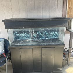 Fish Tank 65 Gallon