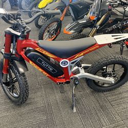 Tuttio ARC-I Electric Bike 750W/36V
