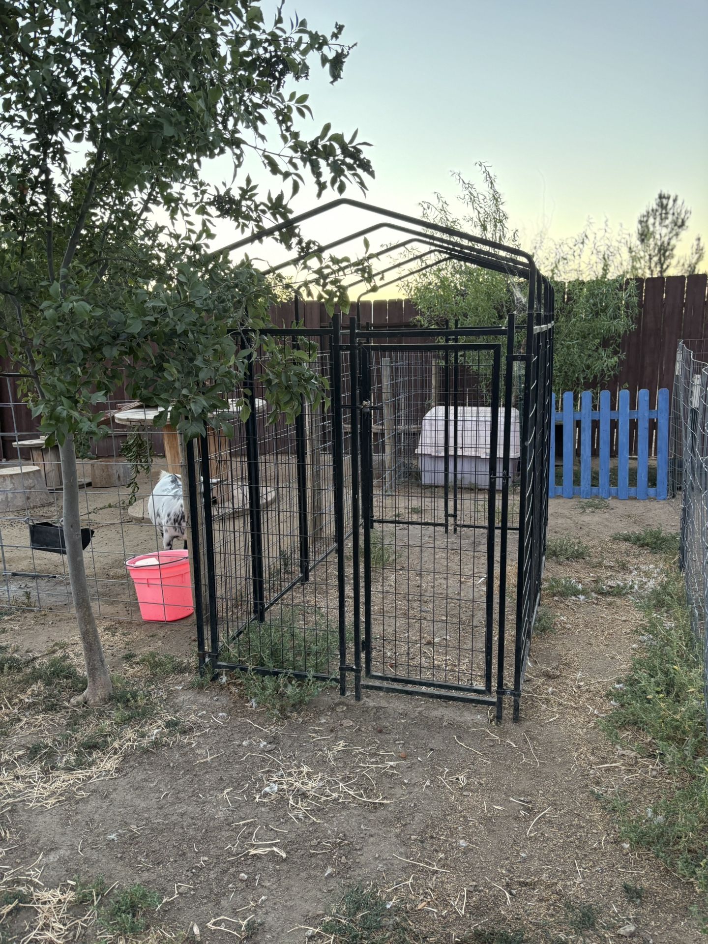 Animal Pen