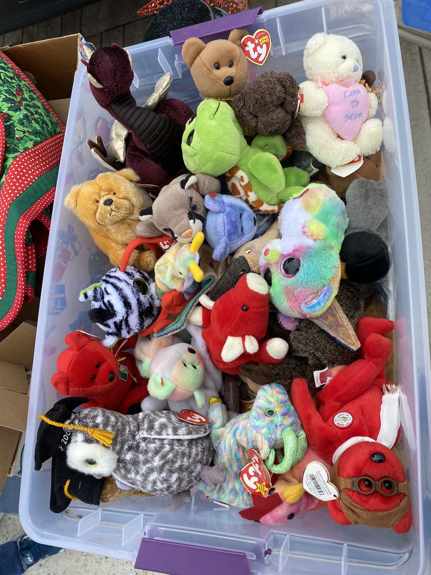 Beanie Babies Bin