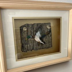Mallard wood frame shadow box