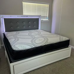 Bed & Mattress 