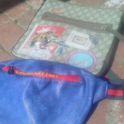 Gucci UFO Tiger Bag And Louis Vuitton Zippered Fanny Pouch 