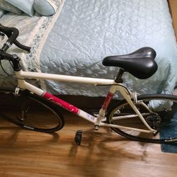 Just Like Brand New Racing Bike Very Rare Find