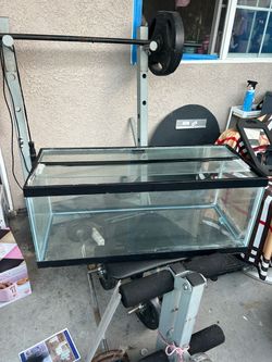 Glass Aquarium Fish Tank with Lid