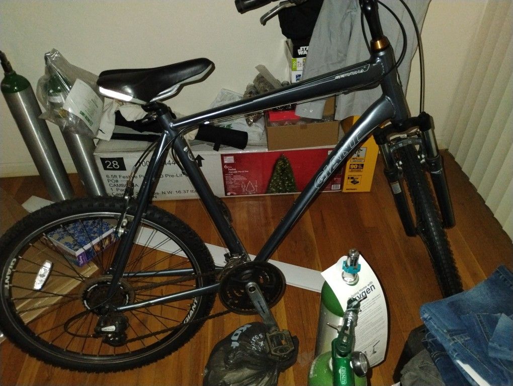 GIANT SEDONA  mountain bike XL Frame