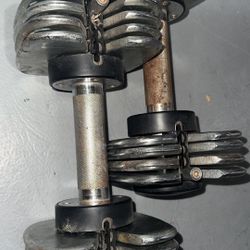 Weights 