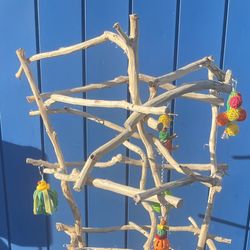 Parrot Perch Tree… All Custom, Hard Durable Ribbon Wood… Looks Great ( Artsy n Rustic ) Lasts For Years !!