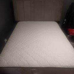 Home Good Velour Headboard Gently Mattress And Headboard 