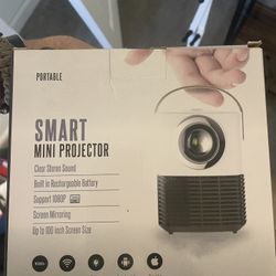 mini projector