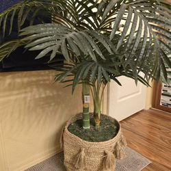 High quality decorative palm tree