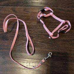 Small Leash and Harness