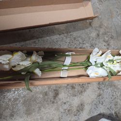 Flowers (Plastic) Per Box