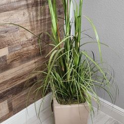 Artificial Fake Tree Plant Cattails Like New Custom Pot