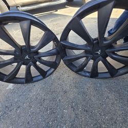 Tesla Wheels Pair 