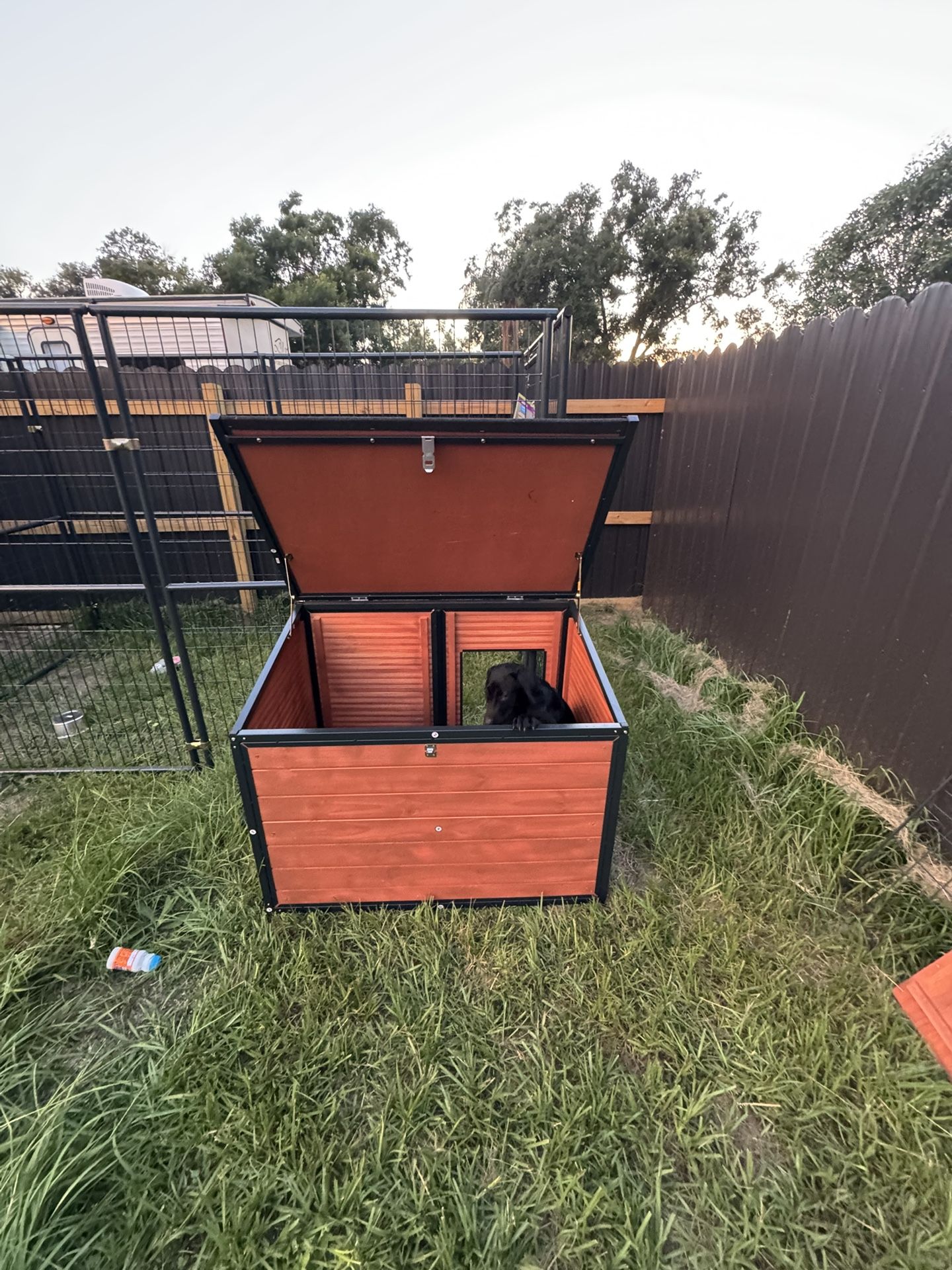 Dog Kennel