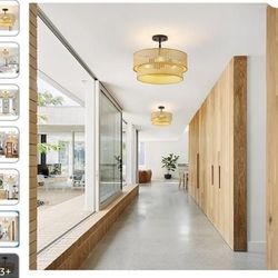 Ceiling Light 
