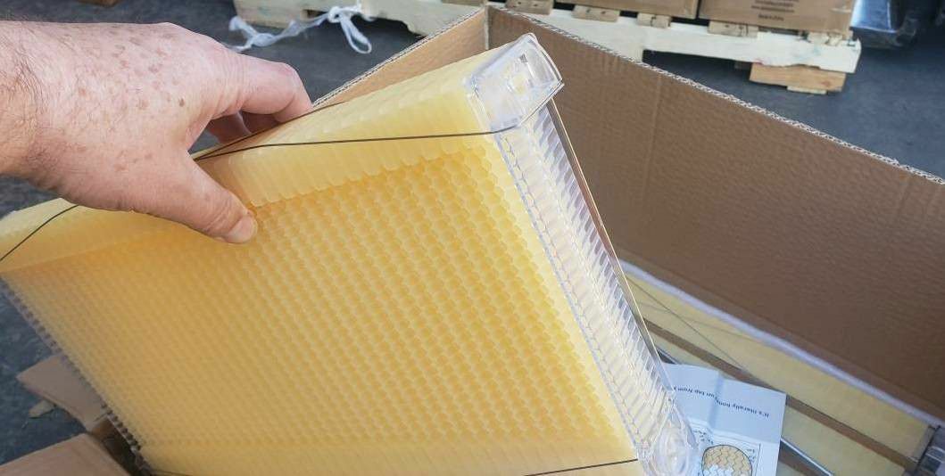 Flowhive Honey Super Beehive