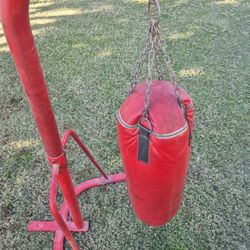 Century Punching Bag and Stand