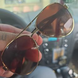 Gucci Sun Glasses