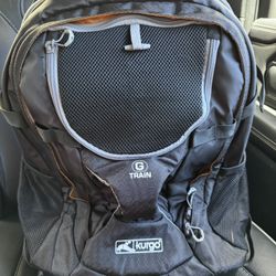 Kurgo G-Train Dog Carrier Backpack - Black